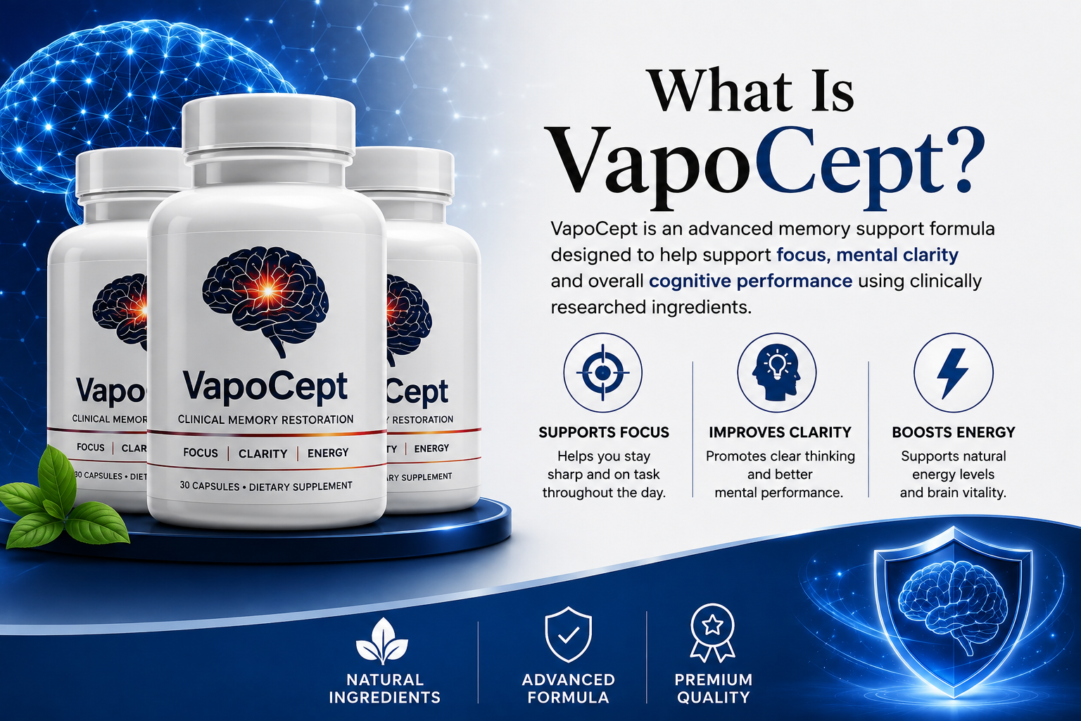What is VapoCept, product overview